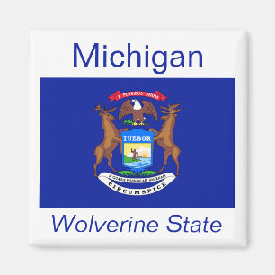 Imã Michigan Flag Magnet
