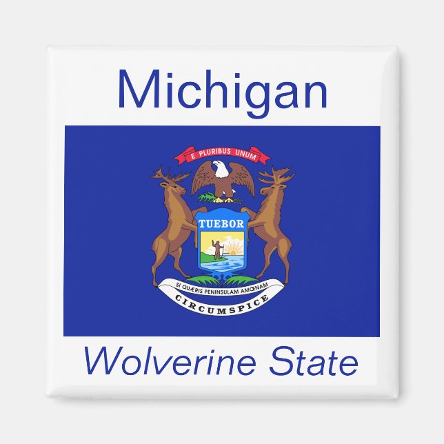 Imã Michigan Flag Magnet (Frente)