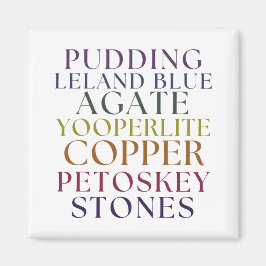 Imã Michigan Rockhound Agate Petoskey Stone Magent