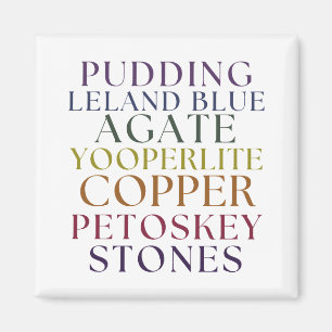 Imã Michigan Rockhound Agate Petoskey Stone Magent