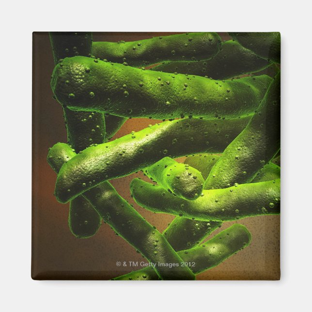 Imã Micobacteria Tuberculose (Frente)