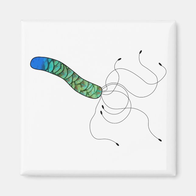 Imã Micróbio artístico de penas (Frente)