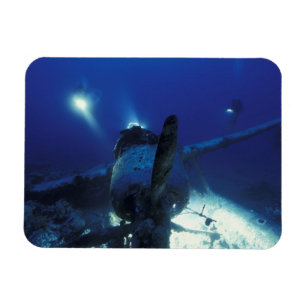 Ímã Micronésia, Palau, Patrimônio Mundial. Divers