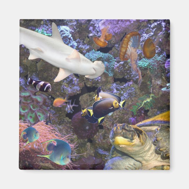 Imã Mídia da Vida do Mar (Frente)