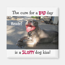 Imã Mídia de Beijo de Cachorro