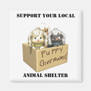 Imã Mídia de suporte