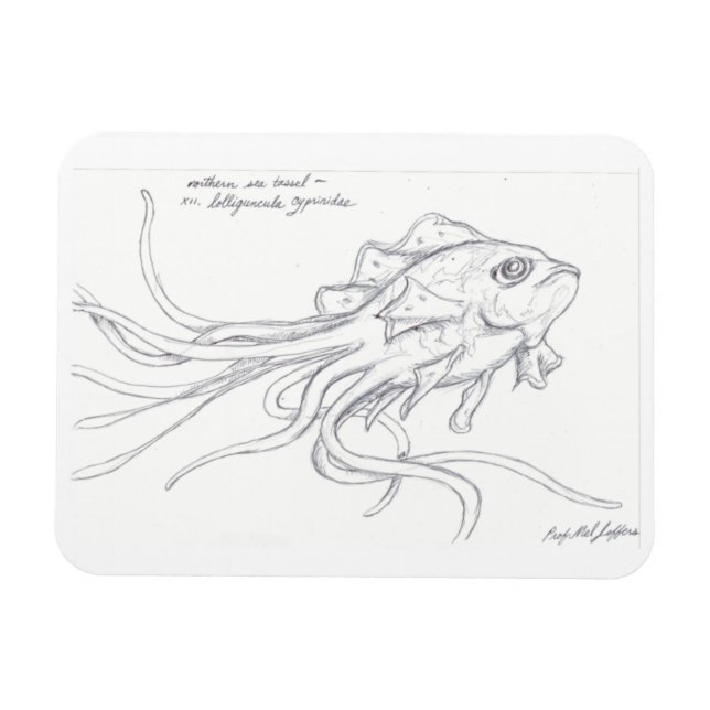 Ímã Mídia de Tassel Mar (Horizontal)