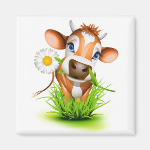 Imã Mídia de Vaca