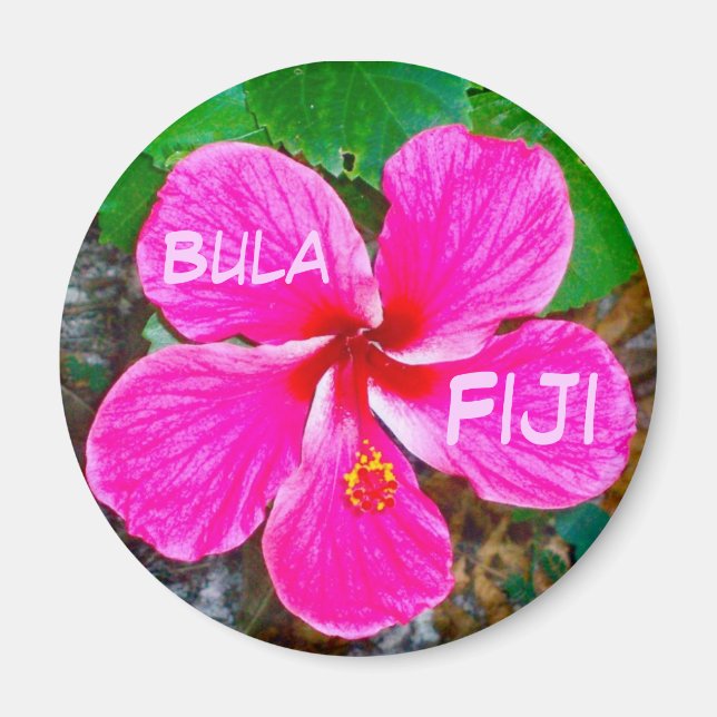 Imã Mídia Habiscus Rosa (Frente)