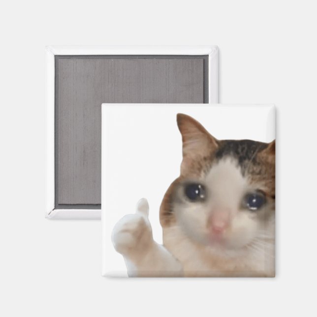 Imã Migre Ok Gato Meme Magnet (Front/Back)