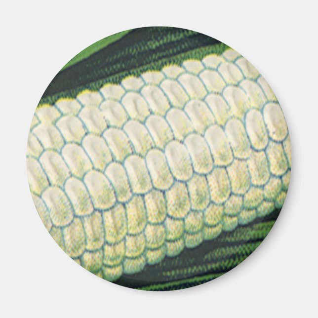 Imã Milho branco de Comidas de vegetais venenosos no f (Frente)