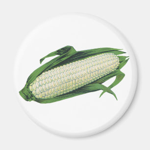 Imã Milho branco de Comidas de vegetais venenosos no f