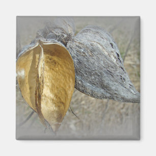 Imã Milkweed Pods