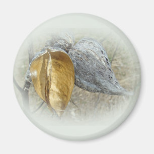 Imã Milkweed Pods