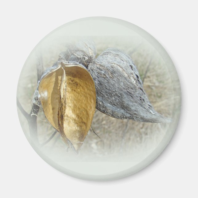 Imã Milkweed Pods (Frente)