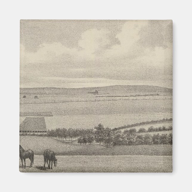 Imã Mill Brae Ranch, Kansas (Frente)