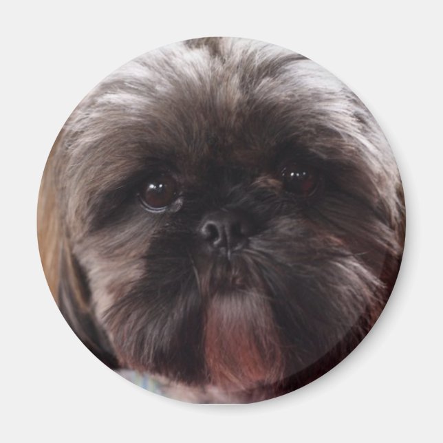 Imã Millie Magnet (Frente)