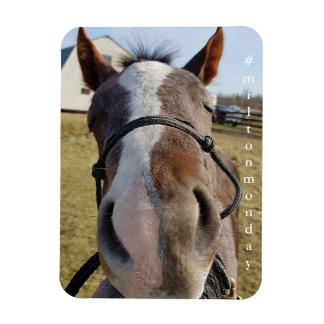 Ímã Milton segunda-feira (Vertical)