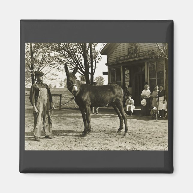 Imã Milwaukee Mule NEGATIVO de 5x7 GLASS (Frente)