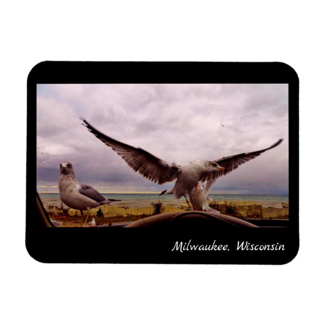 Ímã Milwaukee, Wisconsin (Horizontal)