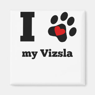 Imã Mim coração meu Vizsla
