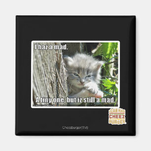 Imã Mim haz um louco