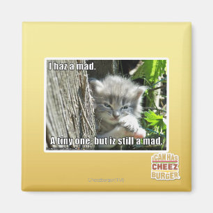 Imã Mim haz um louco