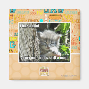 Imã Mim haz um louco