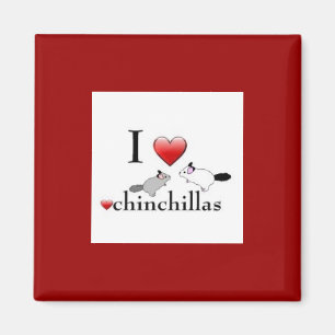 Imã Mim ímã das chinchilas do ove