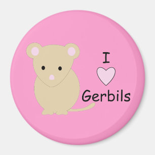 Imã Mim ímã dos Gerbils do coração