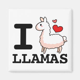 Imã Mim lamas do lama