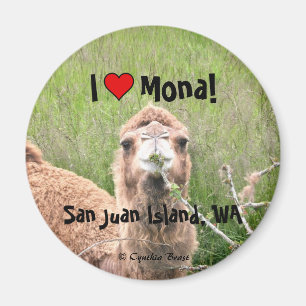 Imã Mim ♥ Mona!