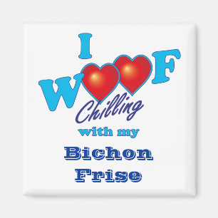 Imã Mim Woof Bichon Frise