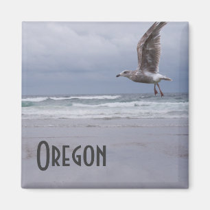 Imã Mímã cigano marinho