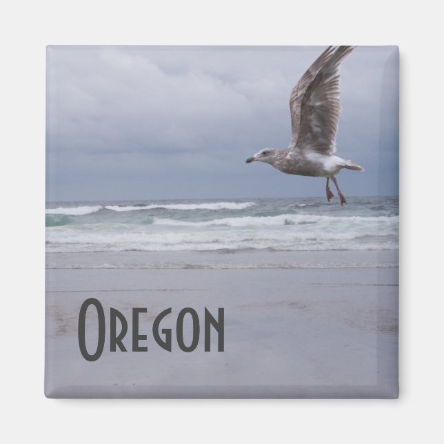 Imã Mímã cigano marinho (Frente)