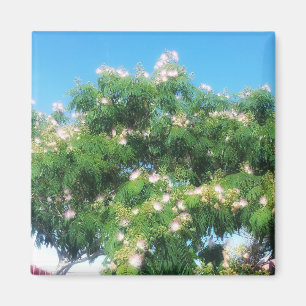Imã Mimosa Tree Magnet