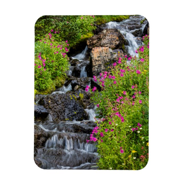Ímã Mimulus ao longo do Lunch Creek no Glaciar (Vertical)