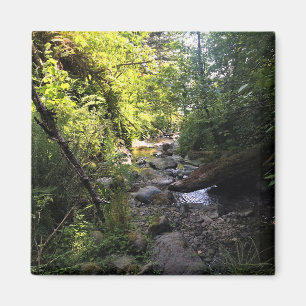 Imã Miner Creek, Samuel H. Boardman, OR