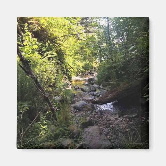 Imã Miner Creek, Samuel H. Boardman, OU (Frente)