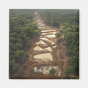 Imã Mineração de Ouro Aluvial. Floresta Tropical, Guia