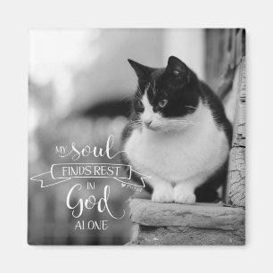 Imã Minha alma encontra o resto - 62:1 do picosegundo