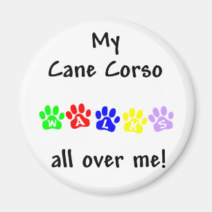 Imã Minha Cane Corso Caminha Por Mim