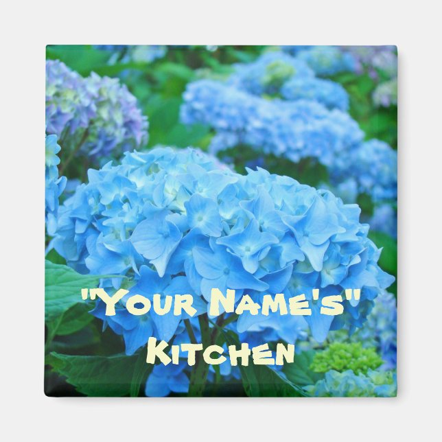 Imã Minha cozinha! Ímanes Blue Hydrangea Flowers (Frente)