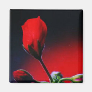 Imã Minha Flor