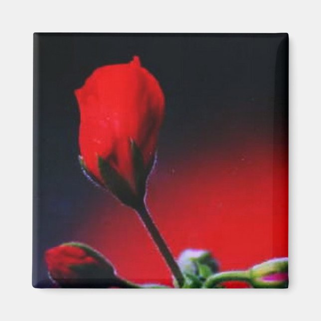 Imã Minha Flor (Frente)
