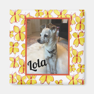 Imã Minha Foto Personalizada de Animal de Estimação em