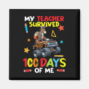 Imã Minha Professora Sobreviveu 100 Dias De Mim Mula N