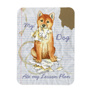 Ímã Minha Shiba Inu Comeu Meu Plano De Lição