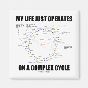 Imã Minha Vida Apenas Opera Em Um Ciclo Complexo (Kreb