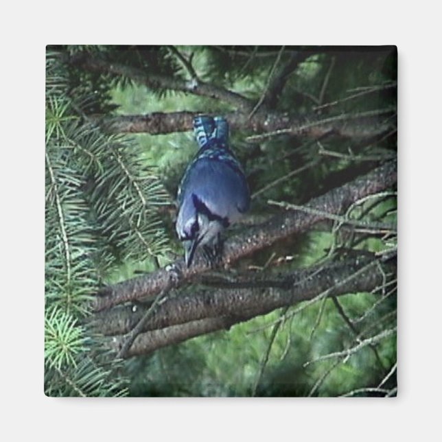 Imã minhas coisas3 013 (Frente)